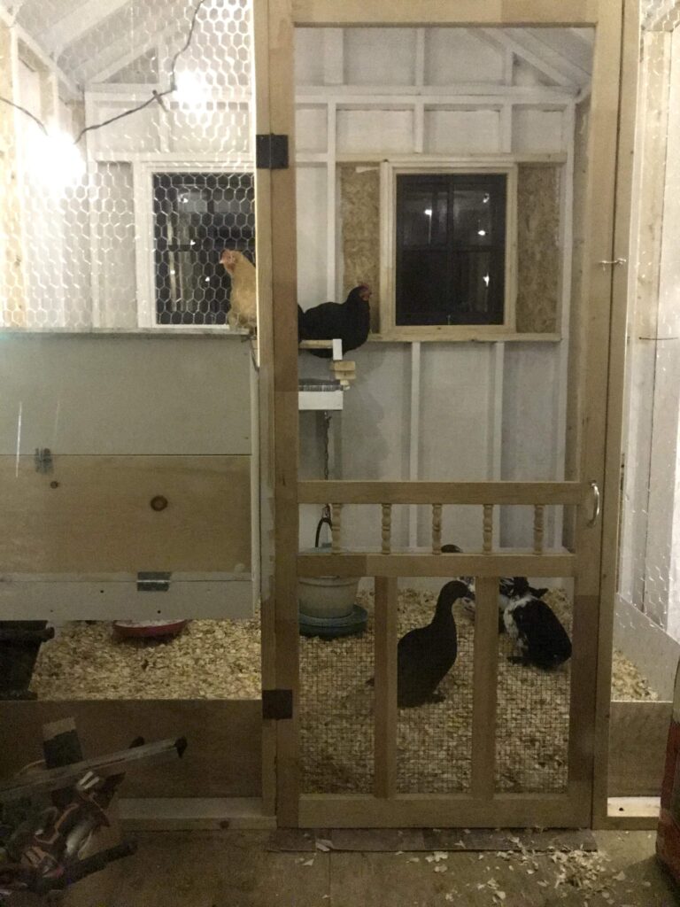 chickens sitting on perch inside small building at night