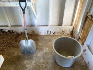 Picture of large silver snow shovel and grey bucket in chicken coop