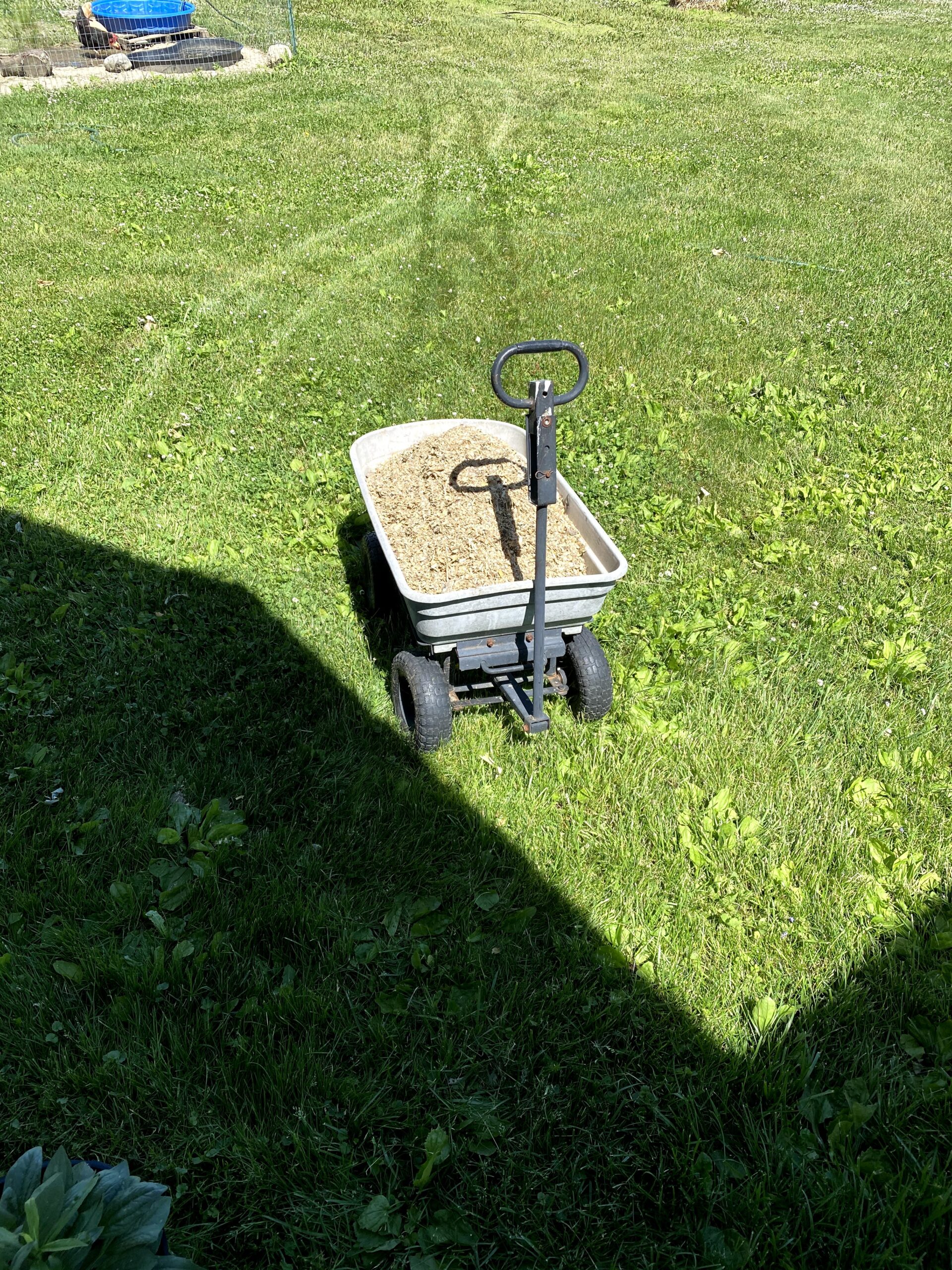 photo of wagon full of shavings